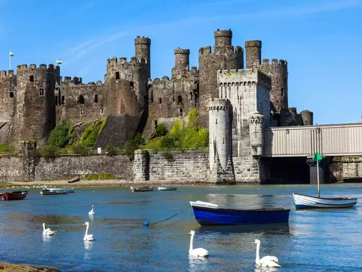 Conwy castle