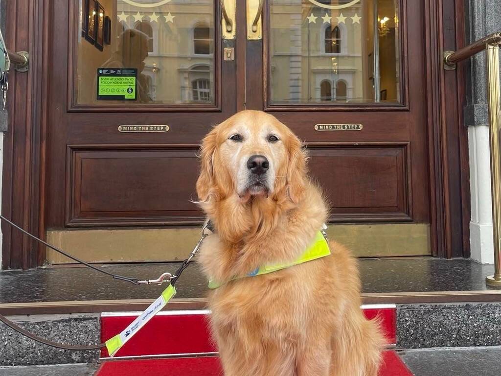 Michael the guide dog in front of St George's hotel llandudno