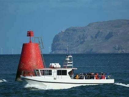 Puffin Island boat