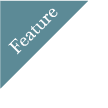 feature